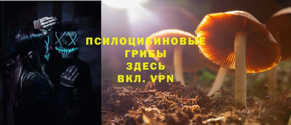 бошки Богородицк