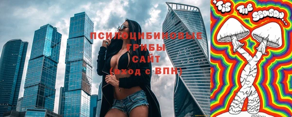 mdpv Богданович