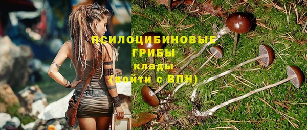 спиды Богородск