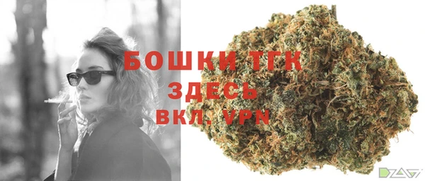 спиды Богородск
