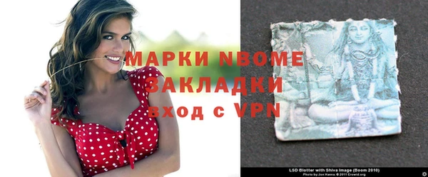 бошки Богородицк