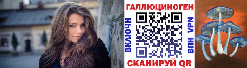 Псилоцибиновые грибы Psilocybe Козловка