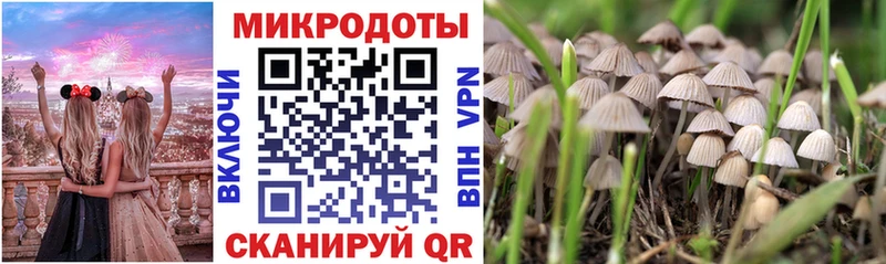 Псилоцибиновые грибы Magic Shrooms  mega ССЫЛКА  Козловка  закладка 